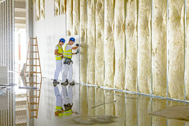 Best Specialized Insulation Services in Brookville, OH